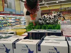 -世纪联华超市(浦电路店)