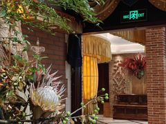 -叶叶菩提(太原别墅店)