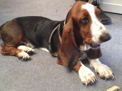 iphone_upload_pic-东浩兰生上海世博展览馆