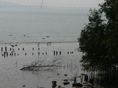 -深圳湾公园(南山区)