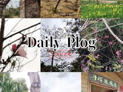 -丹樱生态园