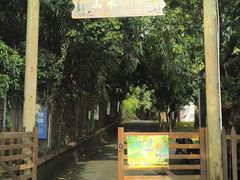 -观澜山水田园