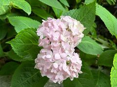 -大妙火锅·非物质文化遗产(东湖公园店)