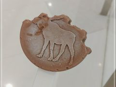 -Abercrombie & Fitch(天环广场店)