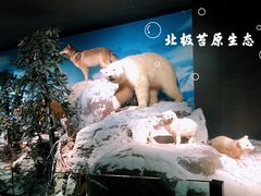 -浙江自然博物院(杭州馆)