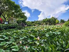 -广州莲花山旅游区