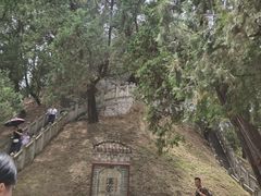 -黄帝陵