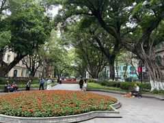 -星巴克臻选(广州沙面店)