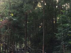 -雁荡山风景名胜区