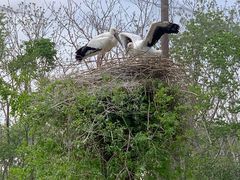 -哈尔滨北方森林动物园