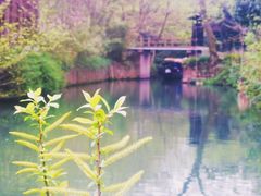 -西溪国家湿地公园