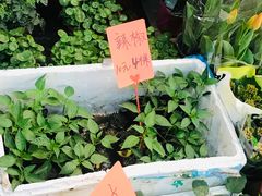 -卜蜂莲花(杨高南路店)
