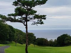 -桃花岛风景旅游区