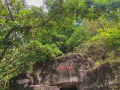 -大雁山风景区