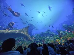 -海合安成都极地海洋公园