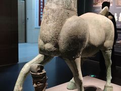 -广西壮族自治区博物馆