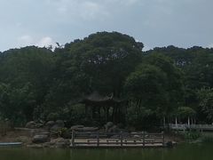-广州市帽峰山景区