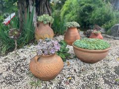 -崇圣寺三塔文化旅游区