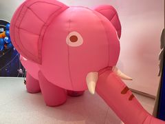 -萌宠奇缘(荣鼎店)