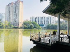 -四海公园(南山区)