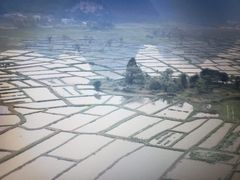 -会仙湿地