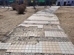 -太阳宫公园