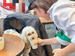 -星巴克(1788广场店)