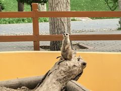 -北京野生动物园