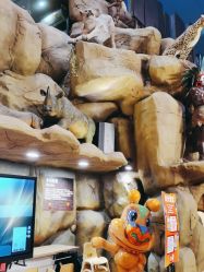 -卡通尼·Safari非洲探索乐园·生日会(金桥国际商业广场店)