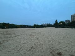 -青枫公园