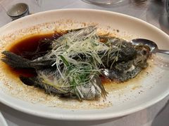 清蒸花斑-东江海鲜酒家(艺都分店)