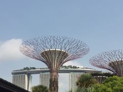 -新加坡文华东方酒店