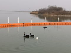 -天津东丽湖风景区