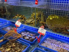 水产区-必点海鲜·鲅鱼水饺(鞍山西道店)