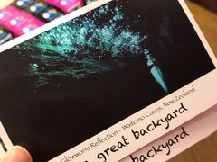 -怀托摩萤火虫洞