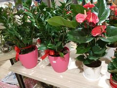 -AEON永旺(东方宝泰店)