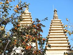 -北京石刻艺术博物馆(五塔寺)