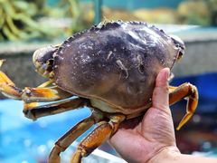-达叔香味海鲜(海棠68环球美食街店)