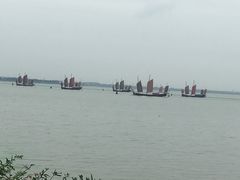-贡湖湾湿地公园