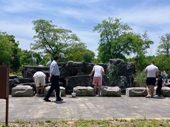 -苏州太湖国家湿地公园