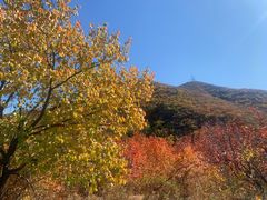 -建平天秀山森林公园