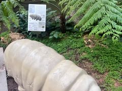 -华大咖啡(华大时空中心店)