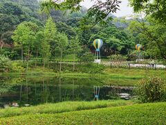 -云溪植物园