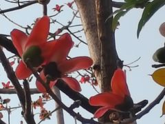 -晓港公园
