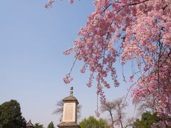 -西安青龙寺遗址景区
