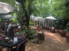 -Fern Forest Cafe
