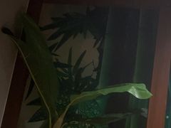 -太平洋PACIFIC SPA•奢睿水疗(万象城店)