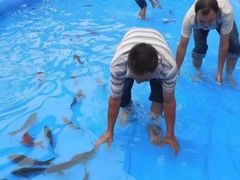 -布吉佳兆业广场