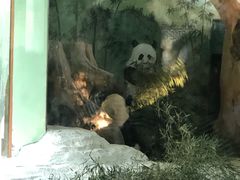 -南昌动物园
