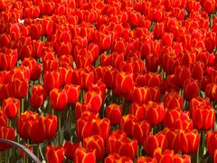 -玄武湖景区-情侣园游乐场